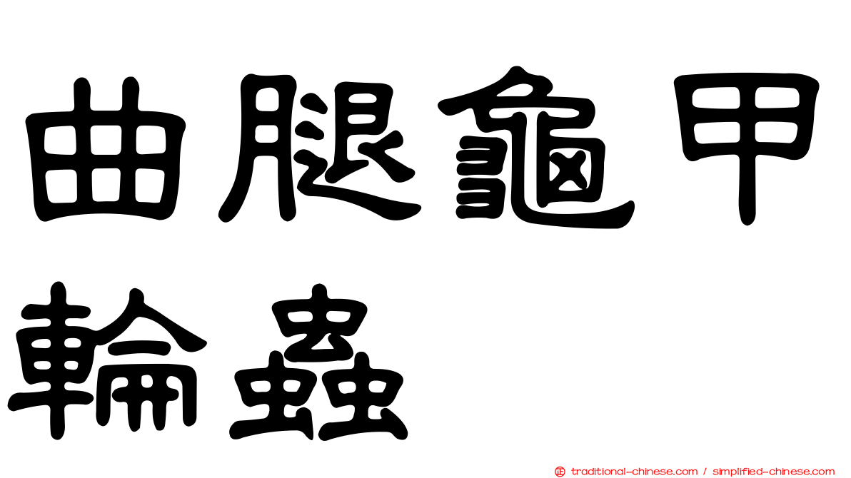 曲腿龜甲輪蟲