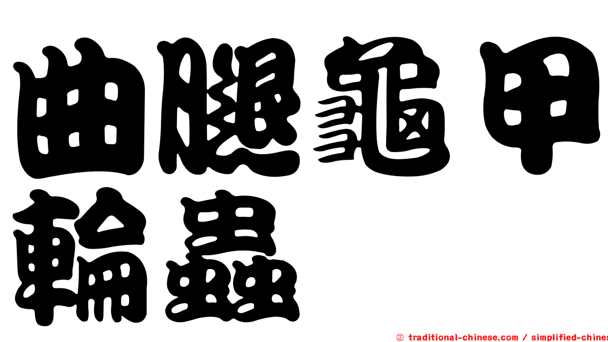 曲腿龜甲輪蟲