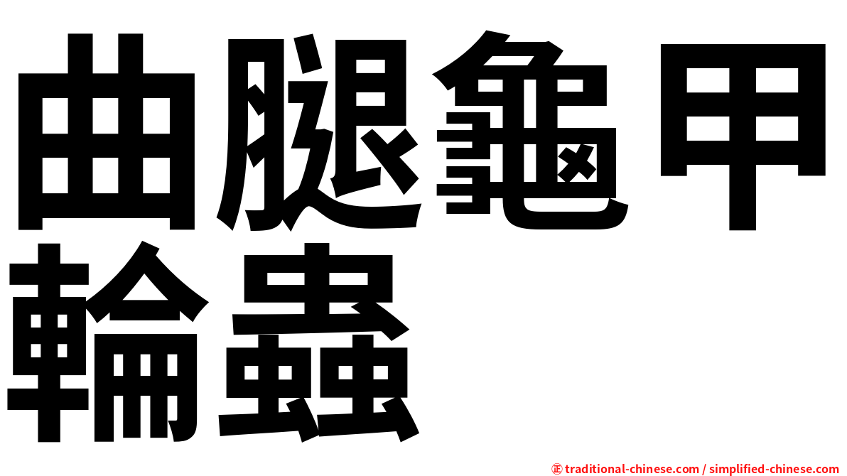 曲腿龜甲輪蟲