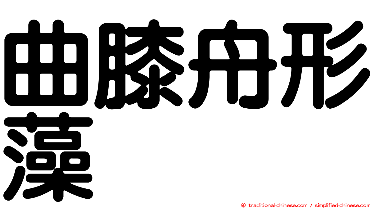 曲膝舟形藻