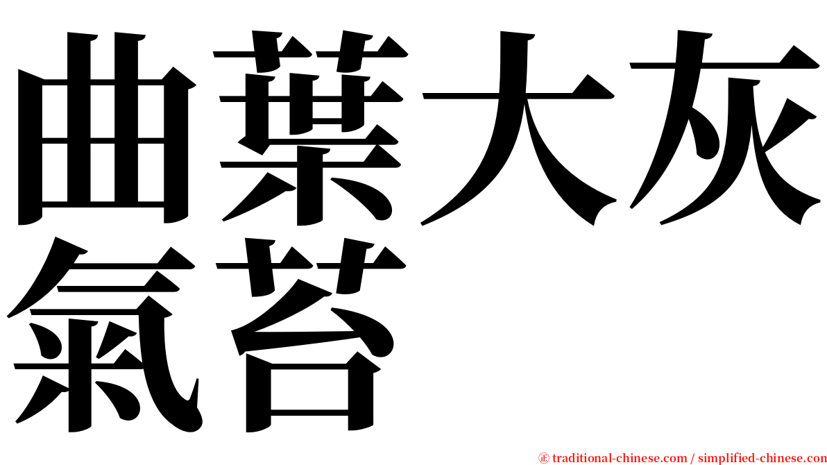 曲葉大灰氣苔 serif font