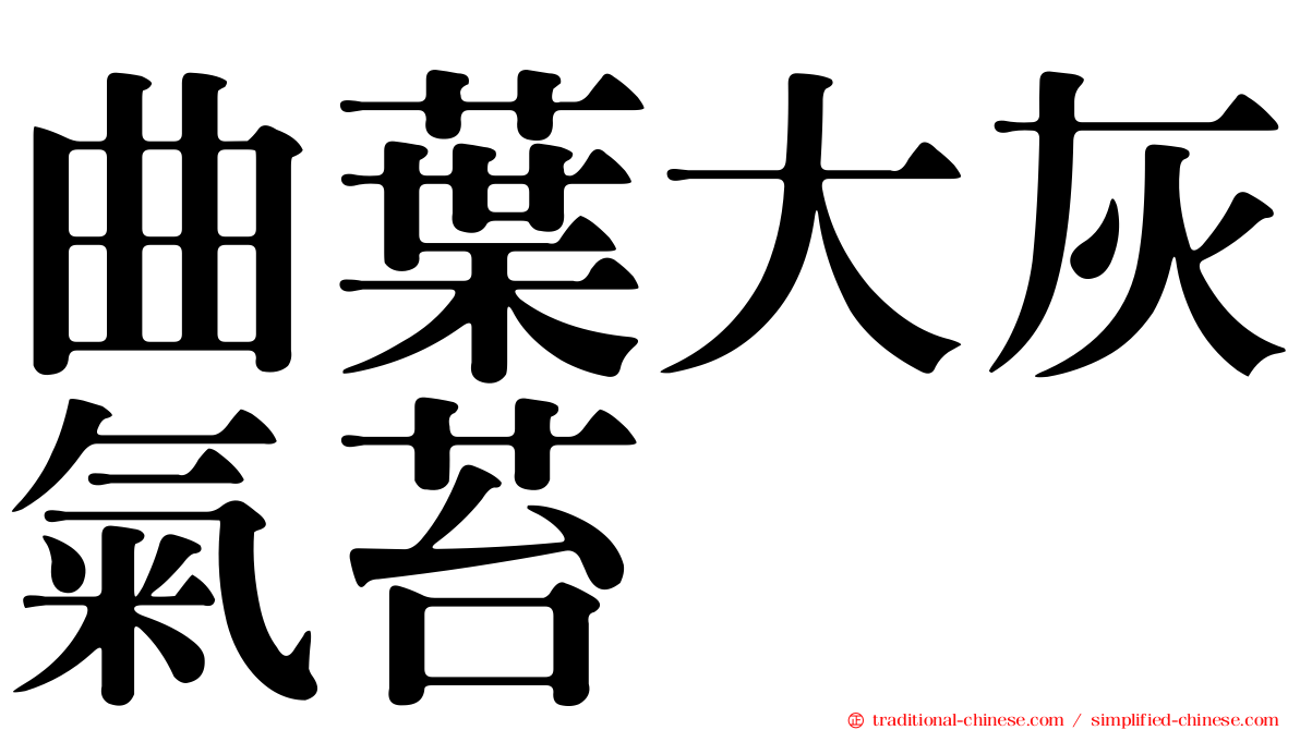 曲葉大灰氣苔