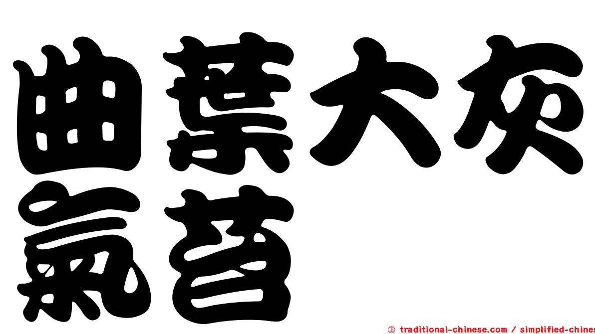 曲葉大灰氣苔