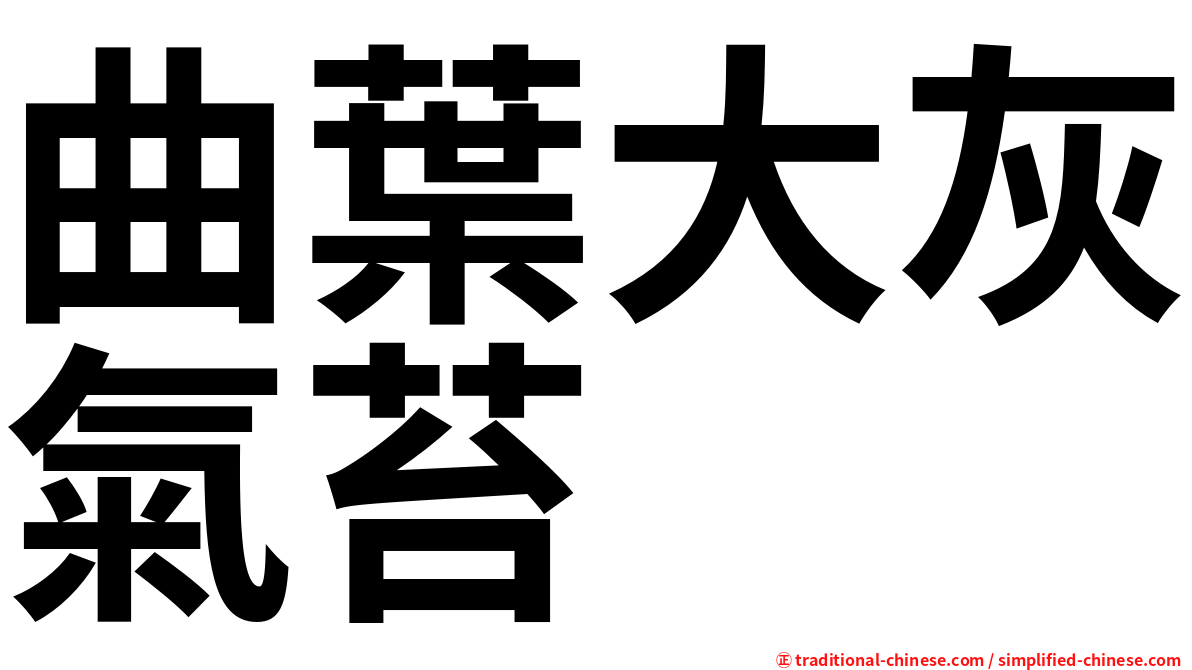 曲葉大灰氣苔