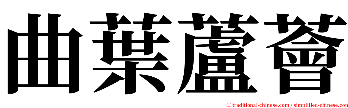 曲葉蘆薈 serif font