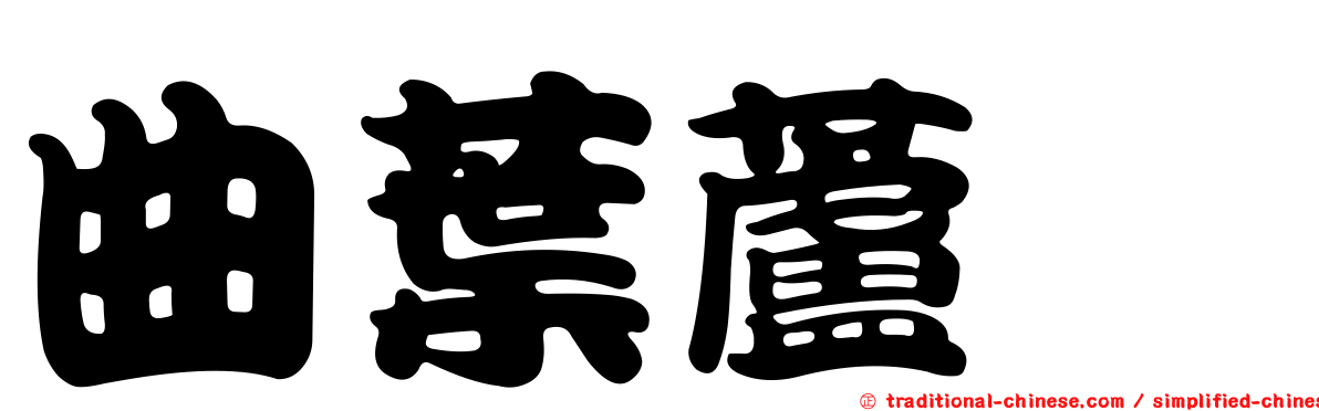曲葉蘆薈