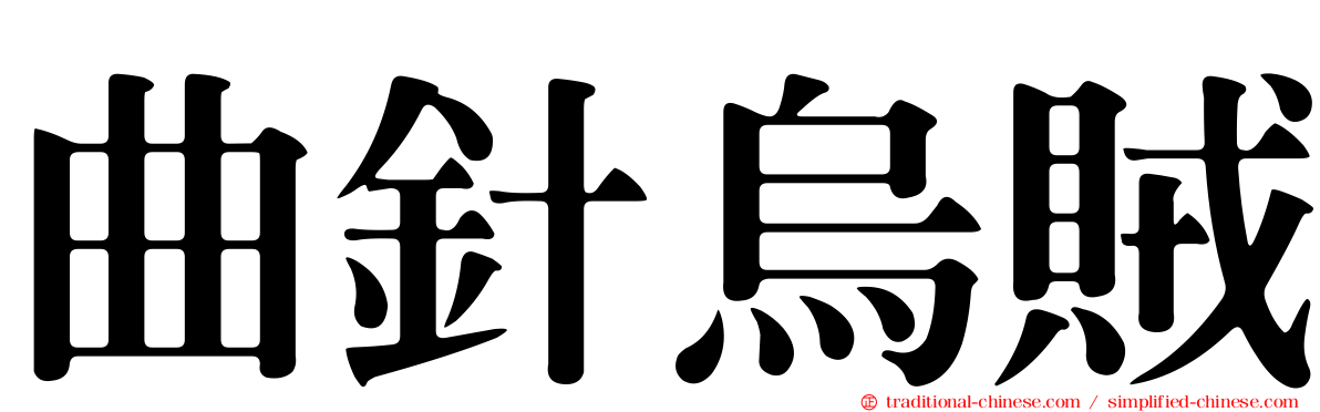 曲針烏賊