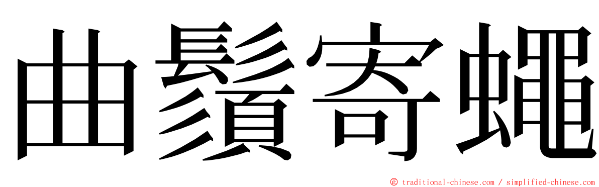 曲鬚寄蠅 ming font