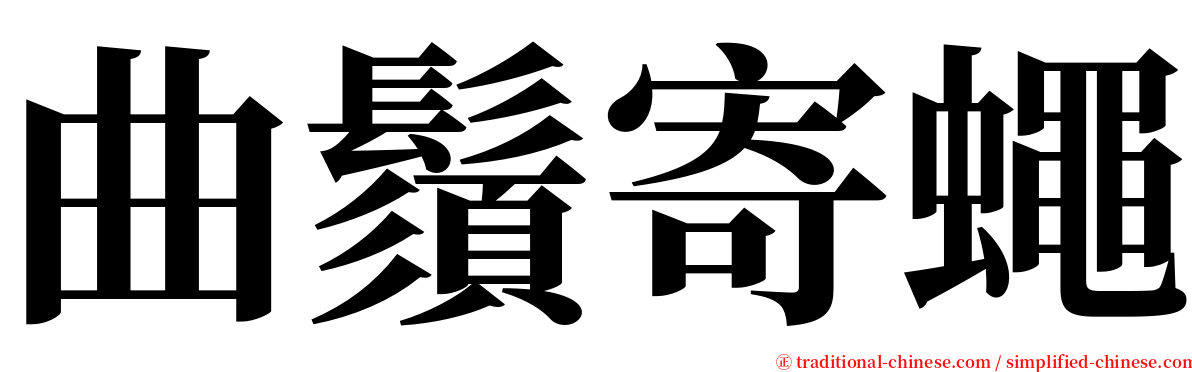 曲鬚寄蠅 serif font