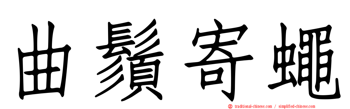 曲鬚寄蠅
