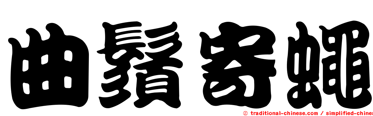 曲鬚寄蠅