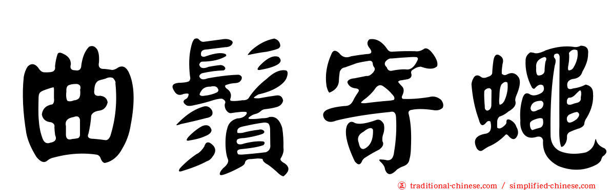 曲鬚寄蠅