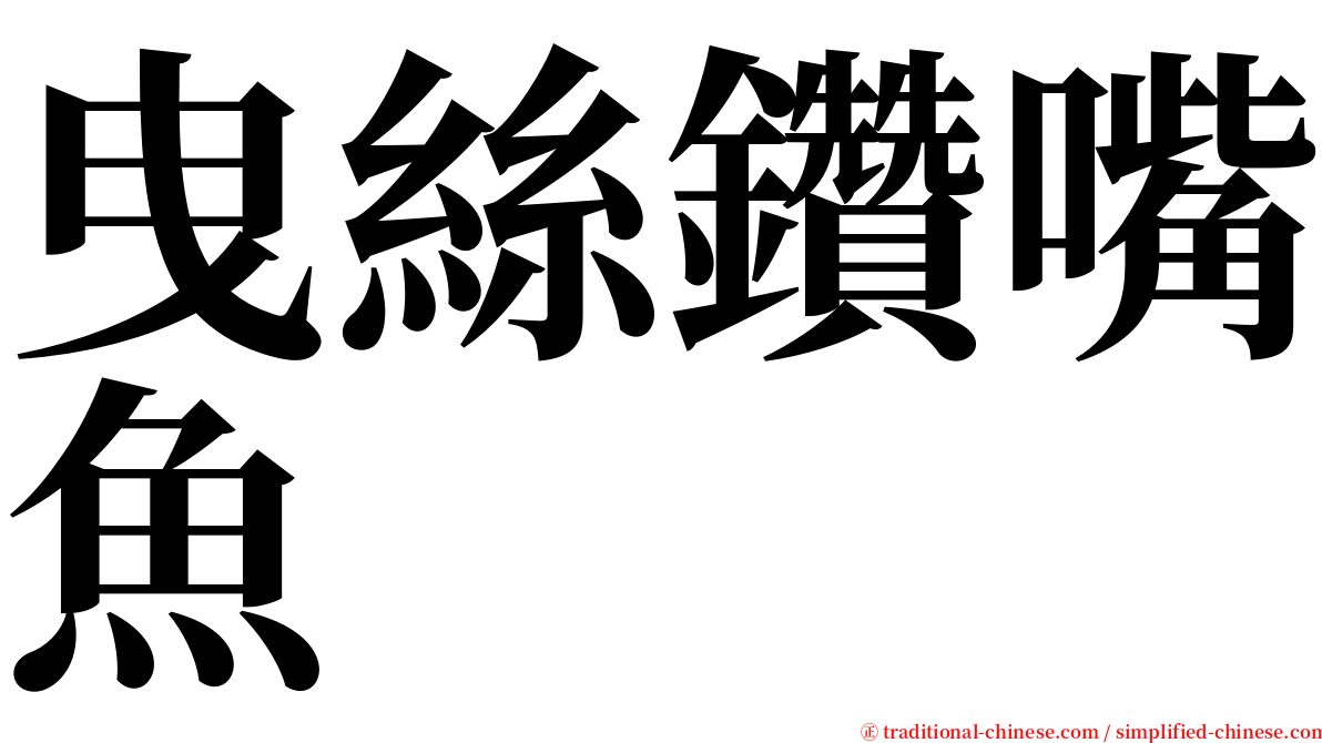 曳絲鑽嘴魚 serif font