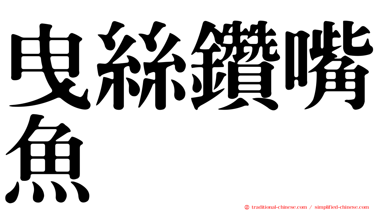 曳絲鑽嘴魚