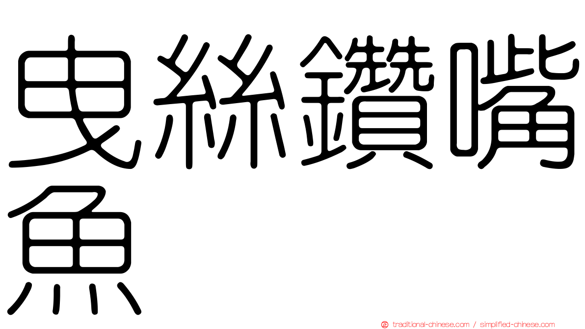 曳絲鑽嘴魚