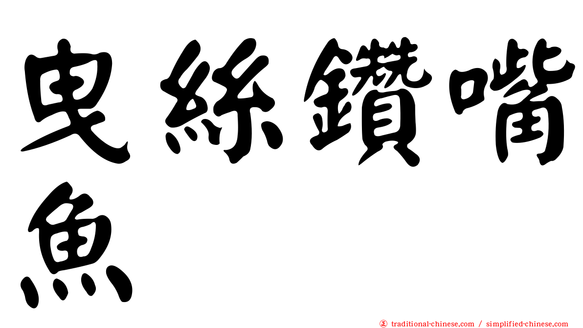 曳絲鑽嘴魚