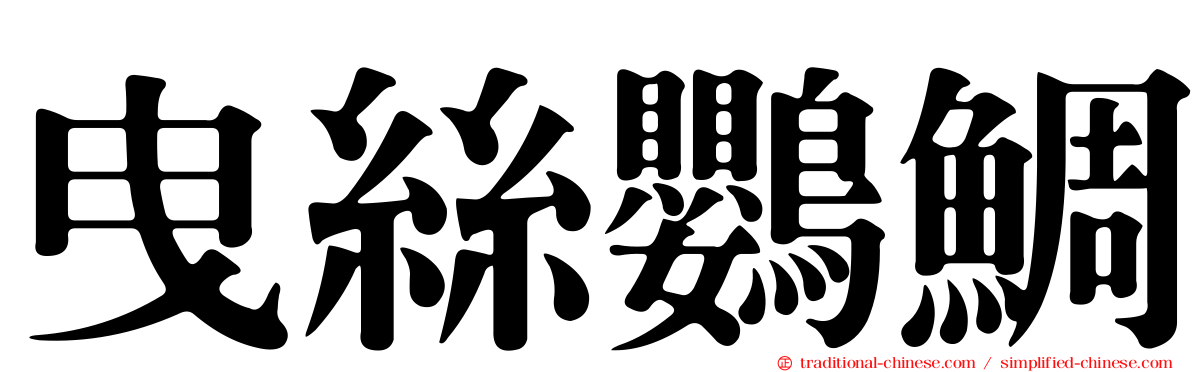 曳絲鸚鯛