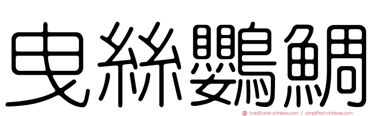 曳絲鸚鯛