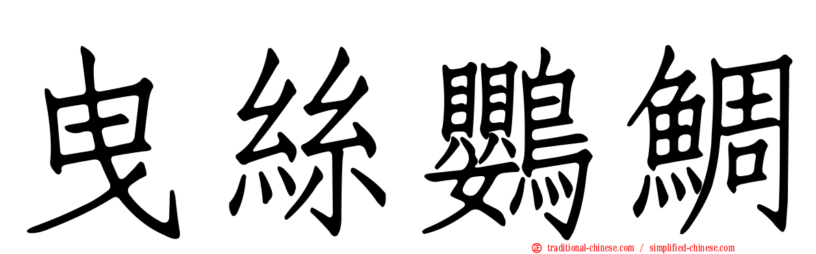 曳絲鸚鯛