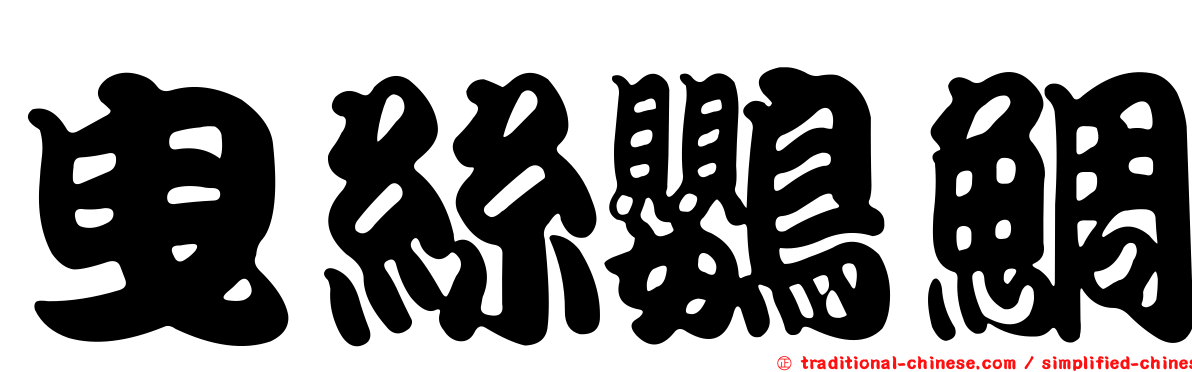 曳絲鸚鯛
