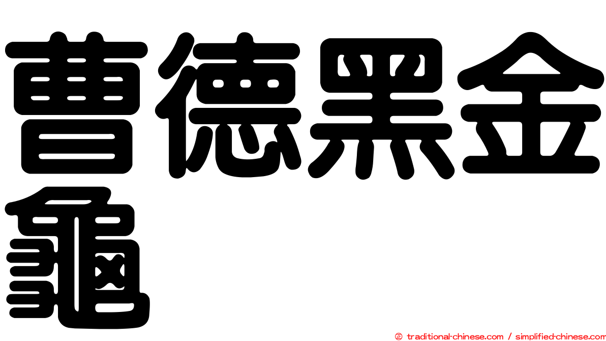 曹德黑金龜