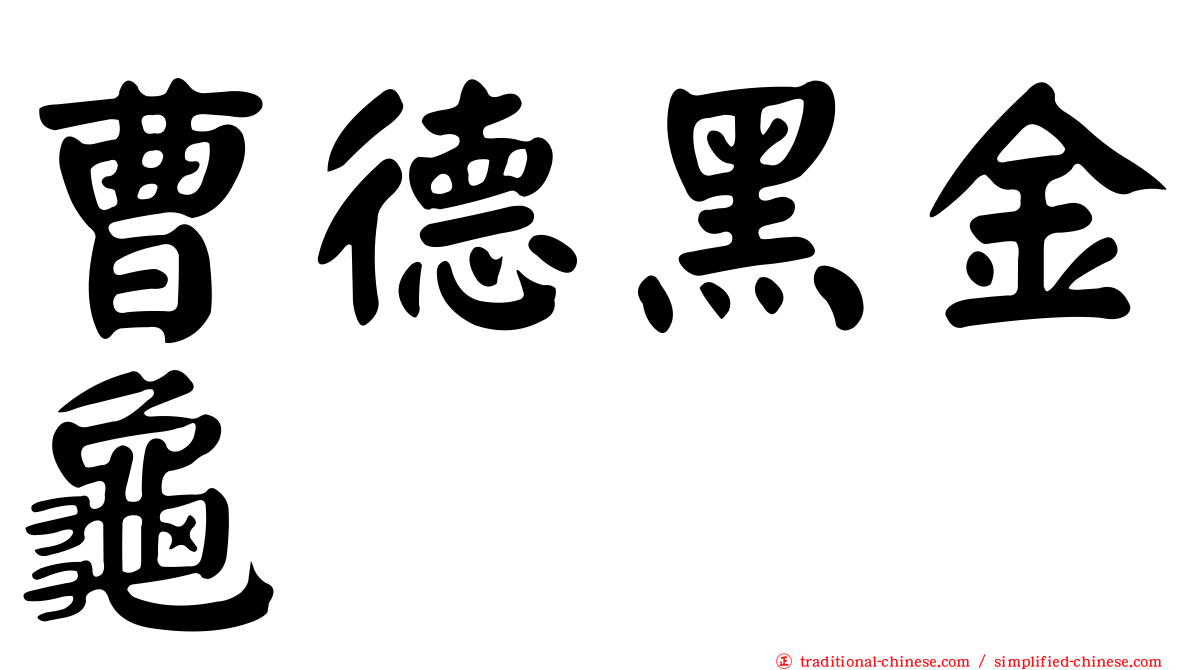曹德黑金龜