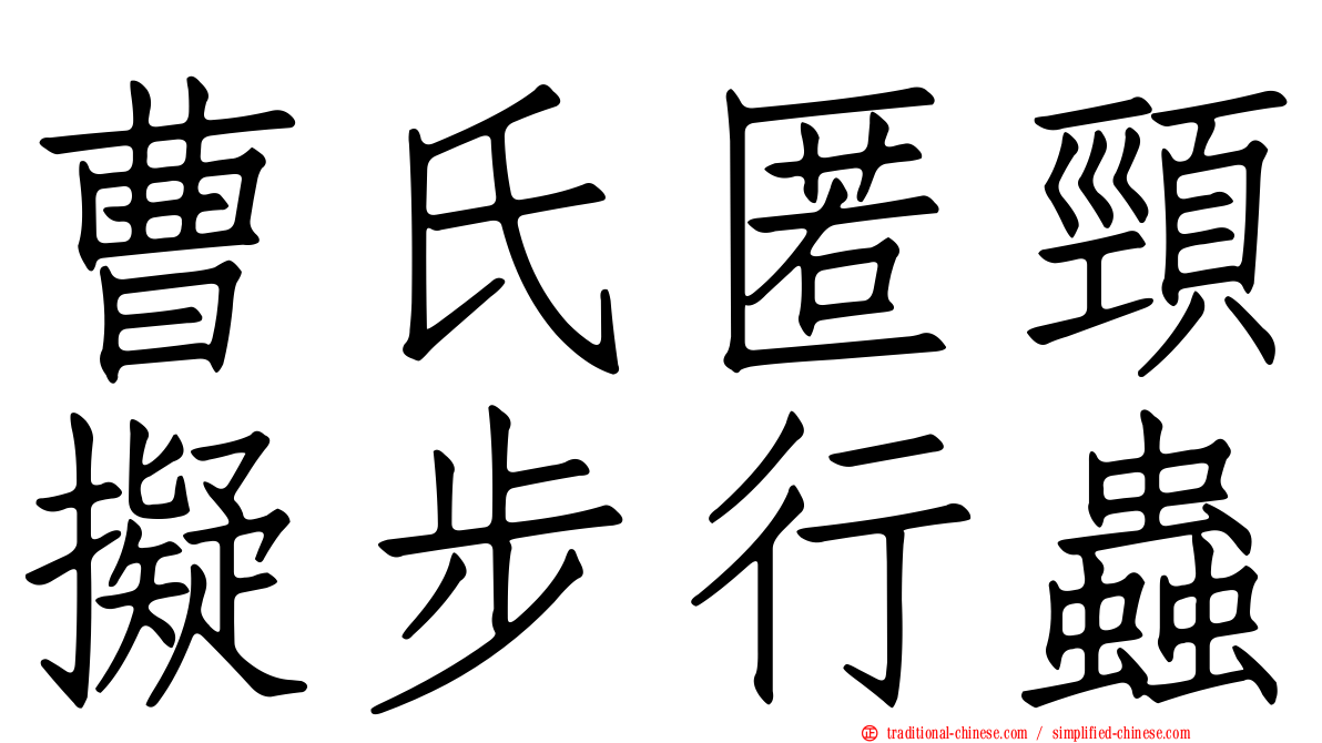 曹氏匿頸擬步行蟲