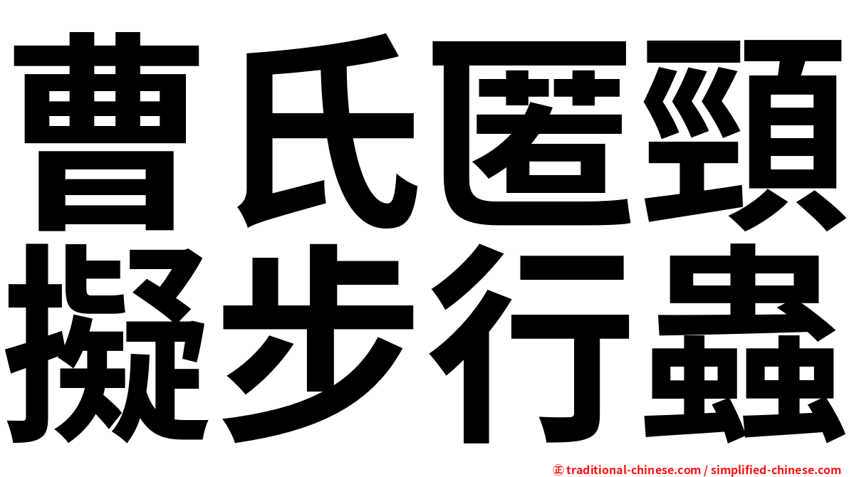 曹氏匿頸擬步行蟲