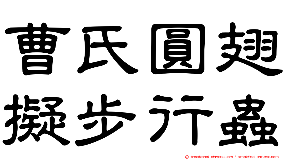 曹氏圓翅擬步行蟲