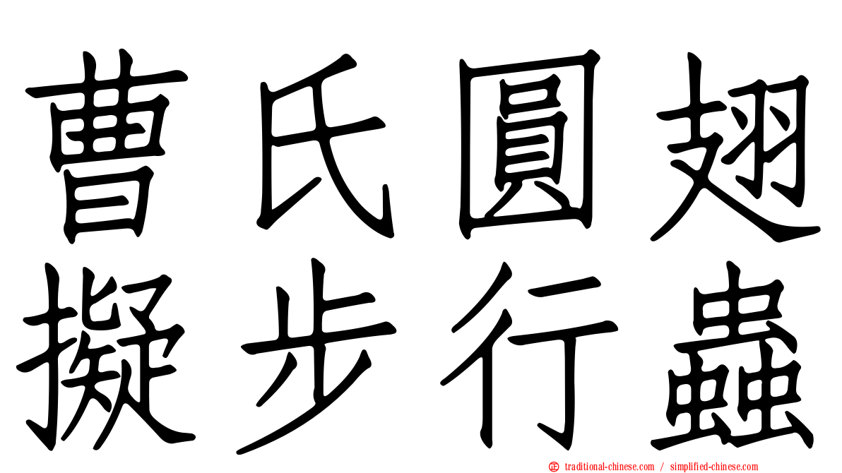 曹氏圓翅擬步行蟲