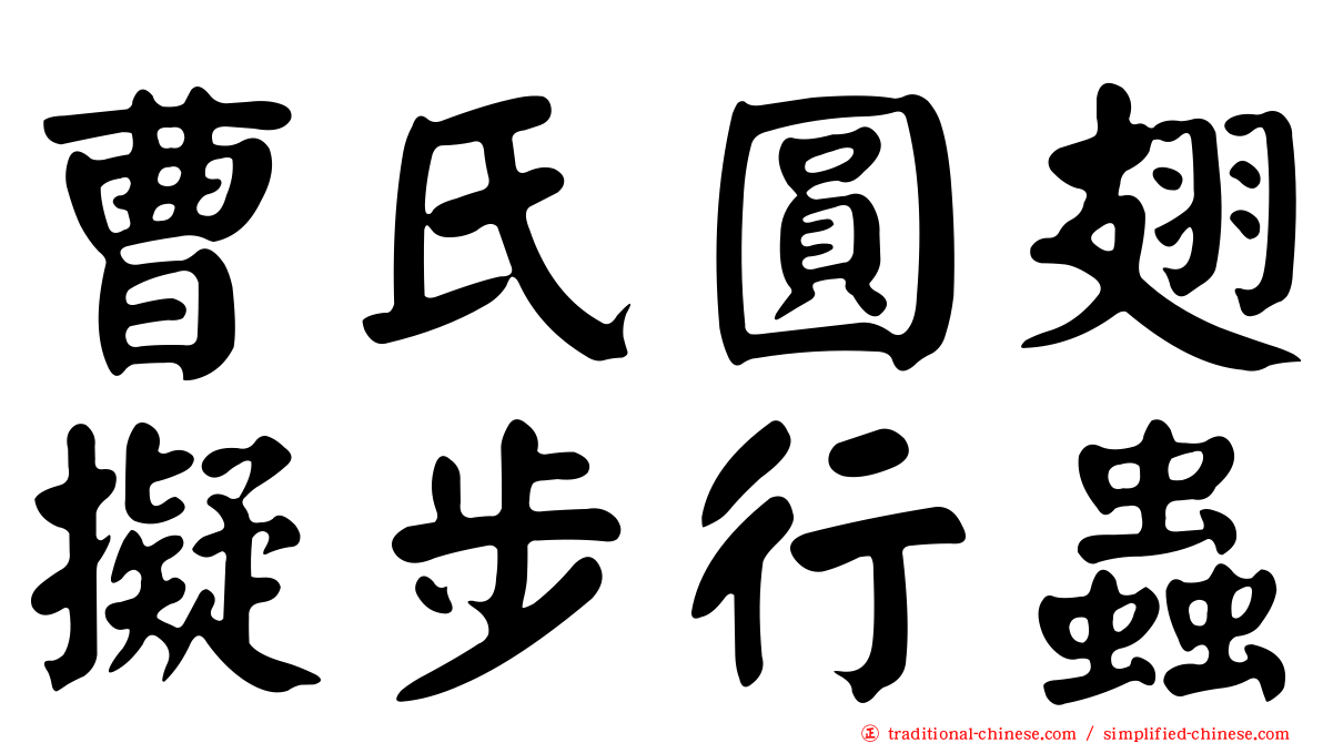 曹氏圓翅擬步行蟲