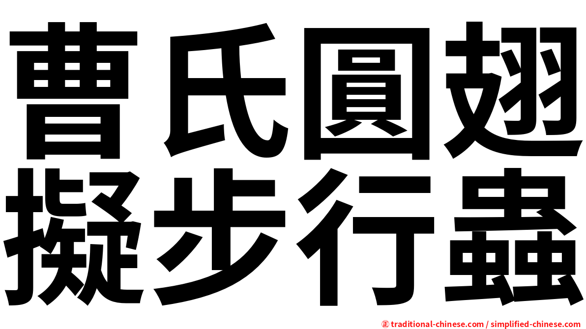 曹氏圓翅擬步行蟲