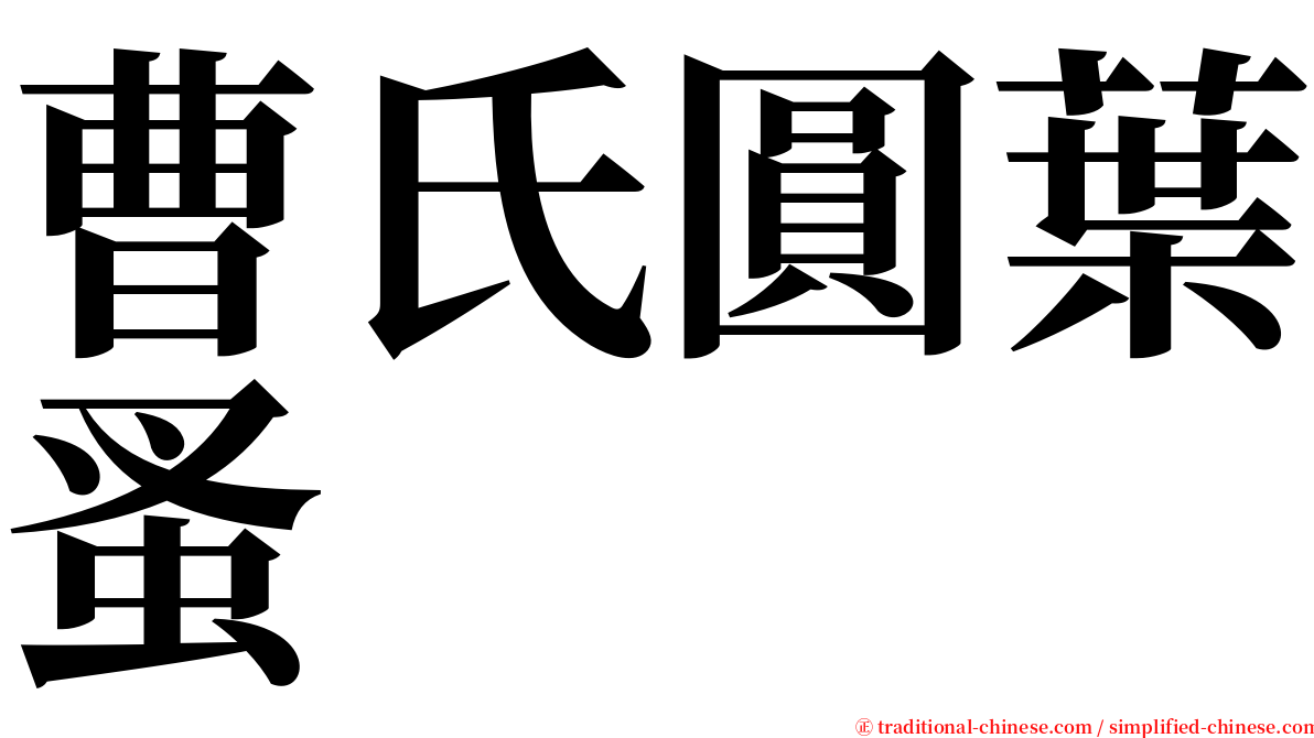曹氏圓葉蚤 serif font