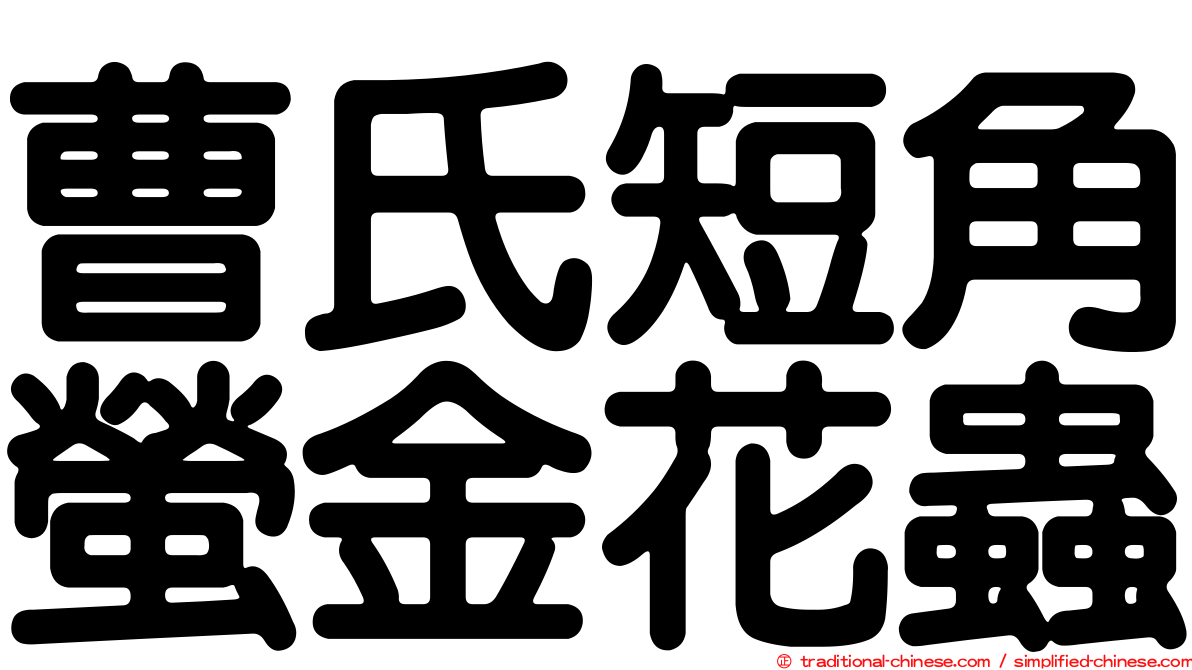 曹氏短角螢金花蟲