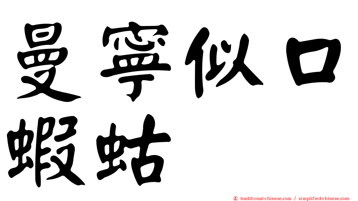 曼寧似口蝦蛄