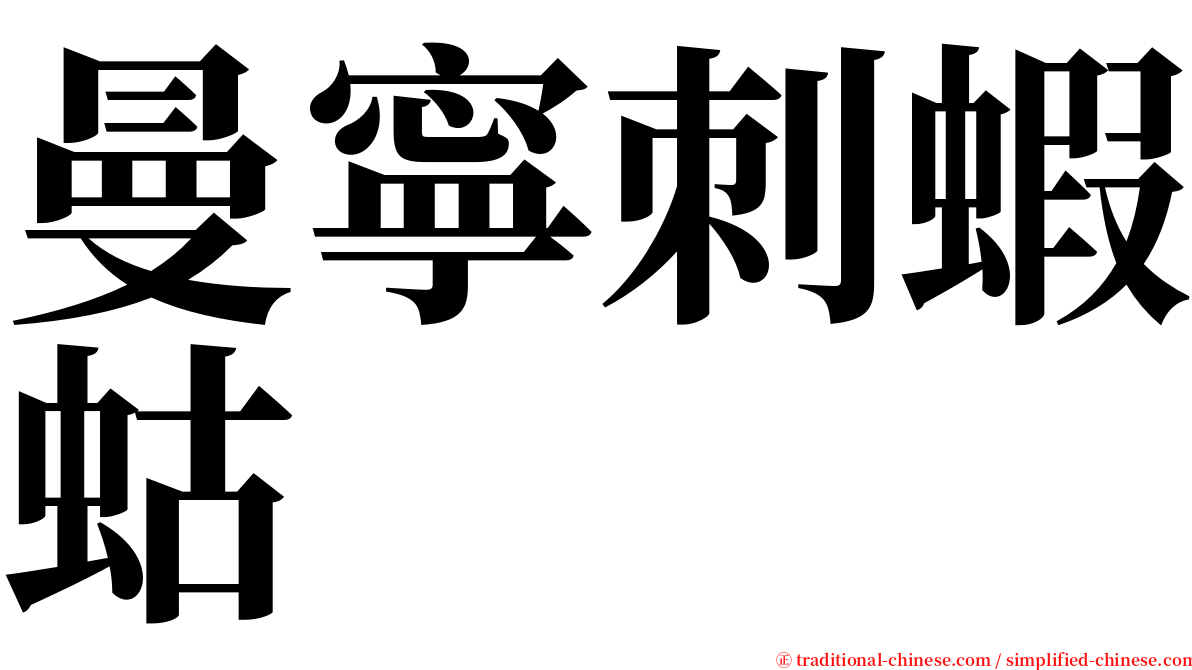 曼寧刺蝦蛄 serif font