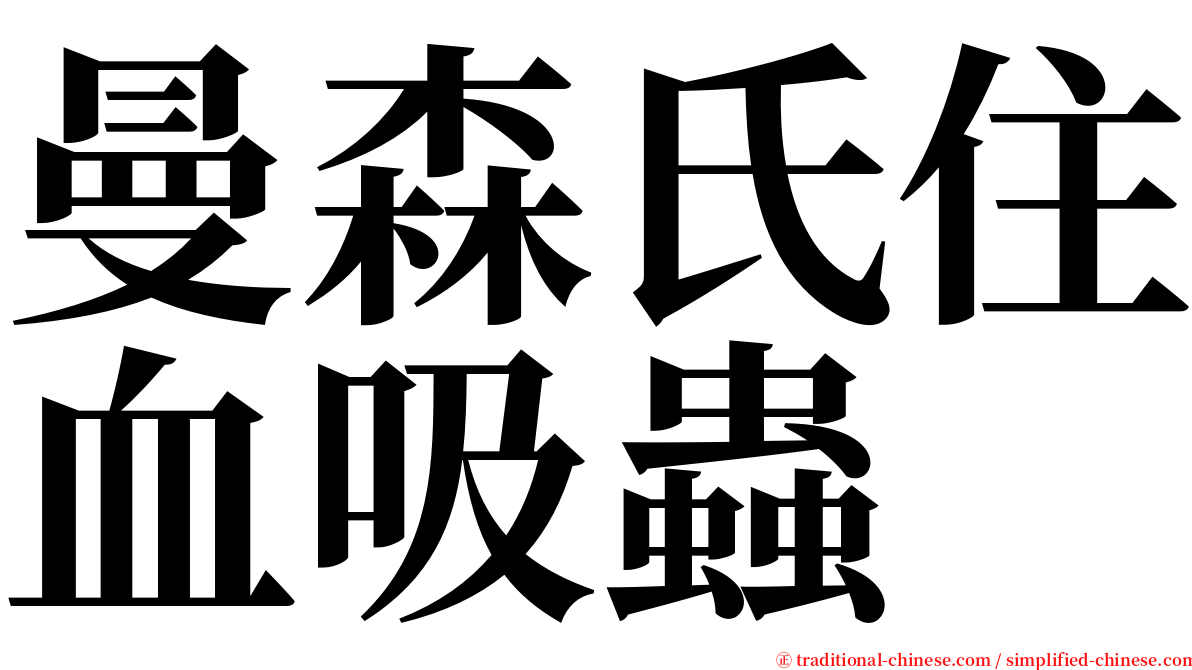 曼森氏住血吸蟲 serif font