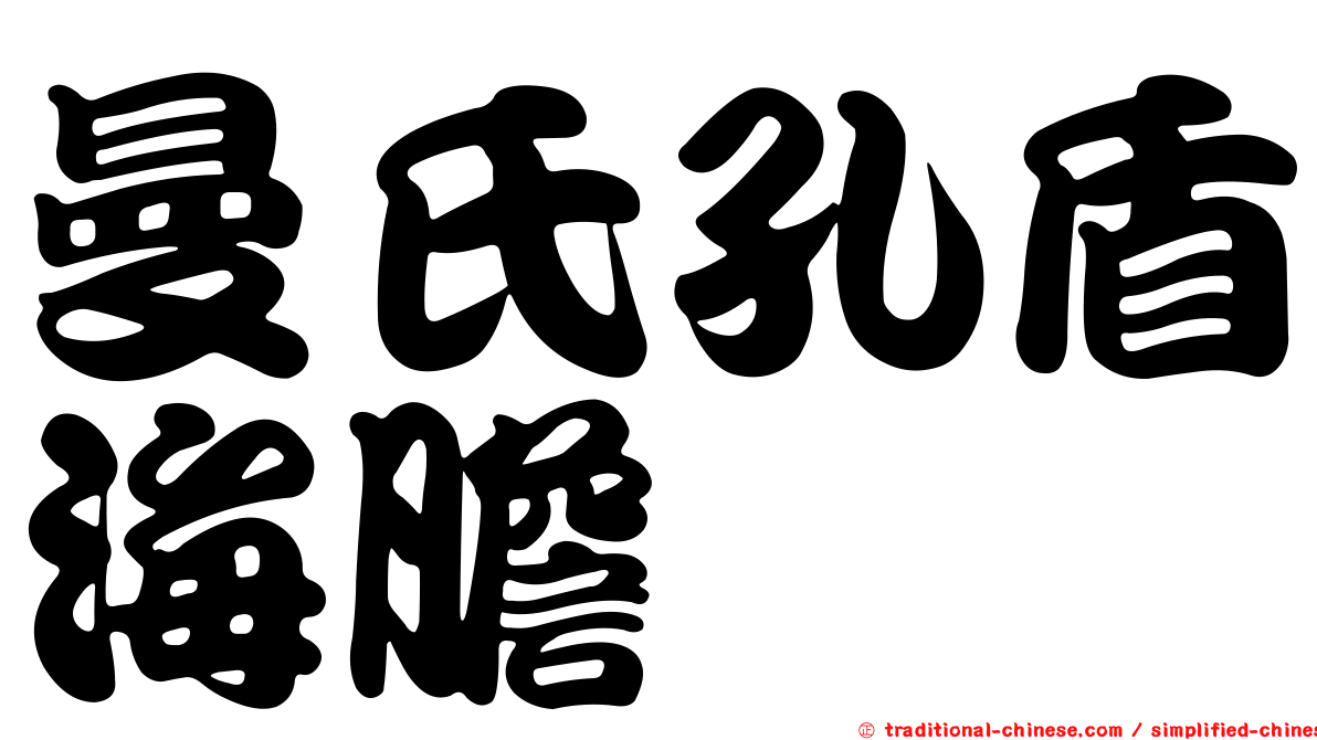 曼氏孔盾海膽