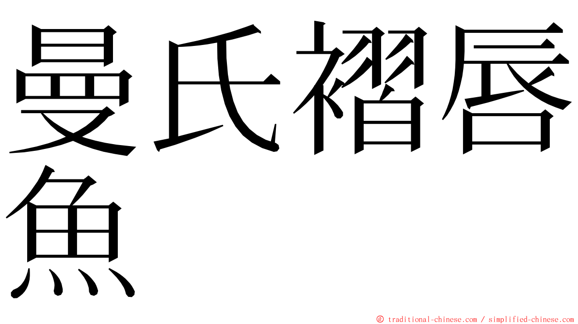 曼氏褶唇魚 ming font