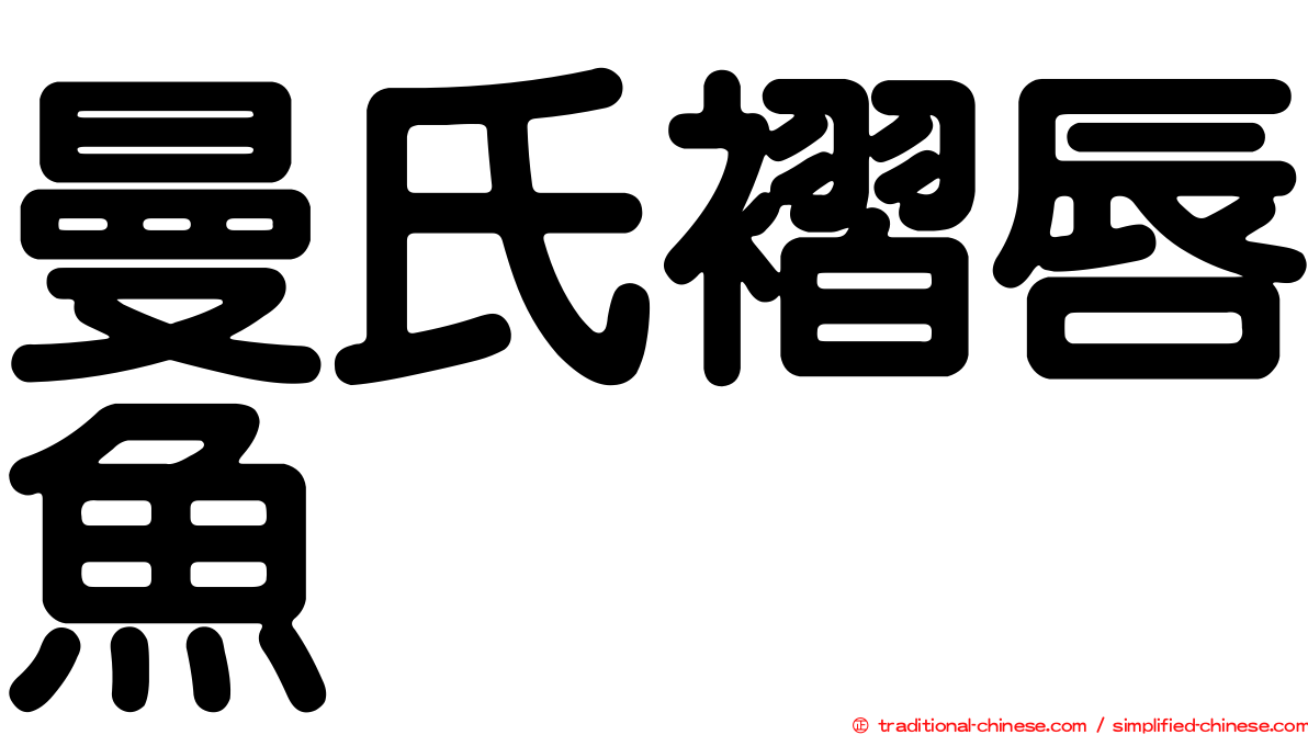 曼氏褶唇魚
