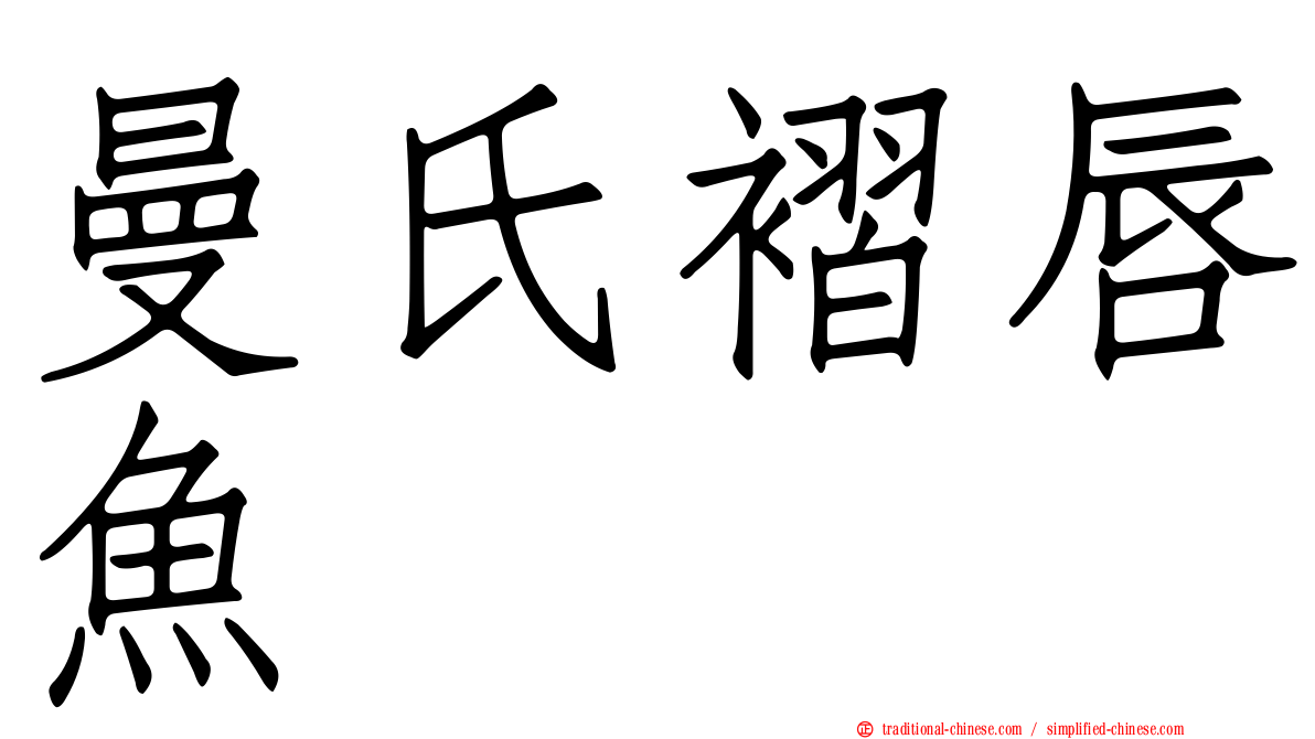 曼氏褶唇魚
