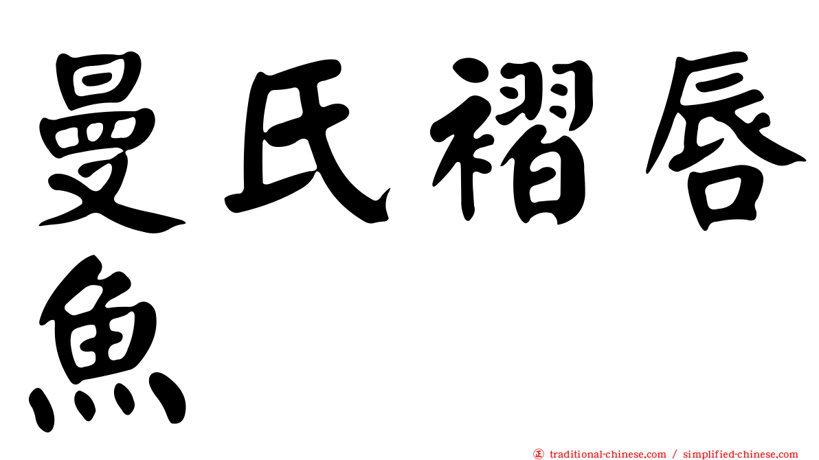 曼氏褶唇魚