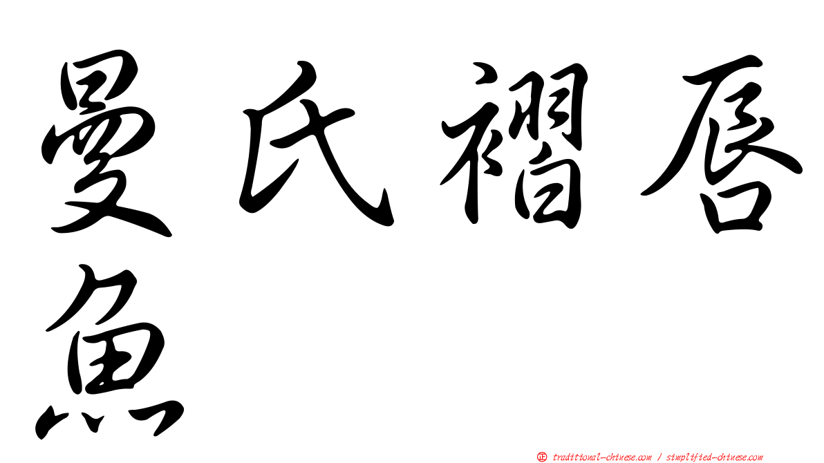 曼氏褶唇魚