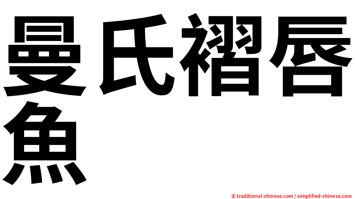 曼氏褶唇魚