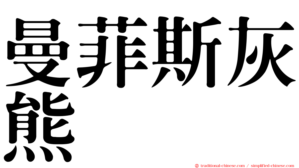 曼菲斯灰熊