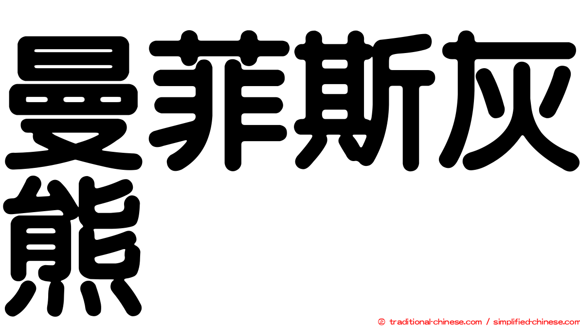 曼菲斯灰熊