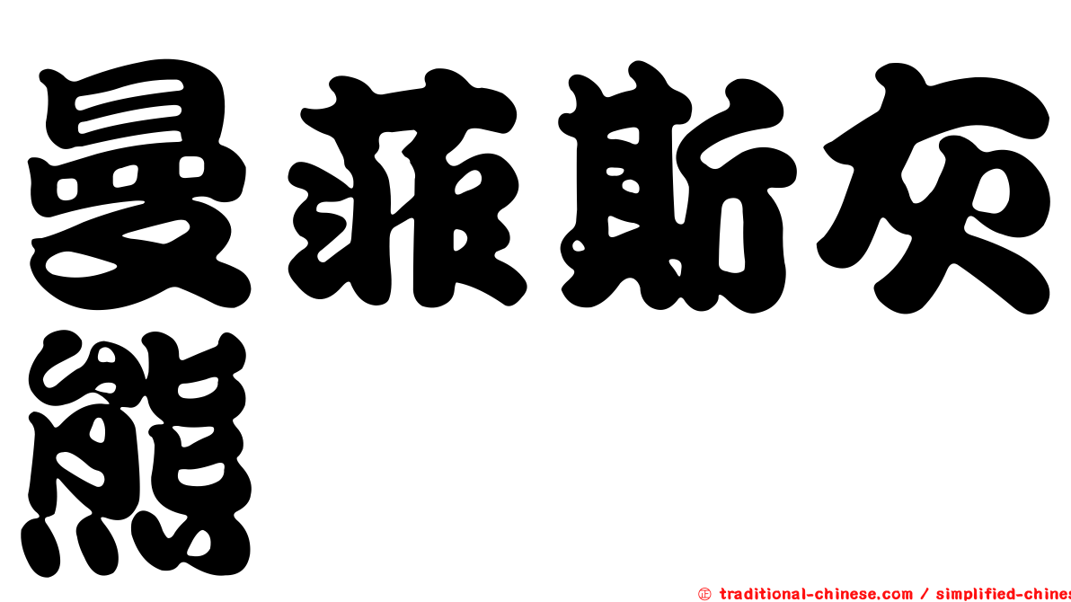 曼菲斯灰熊