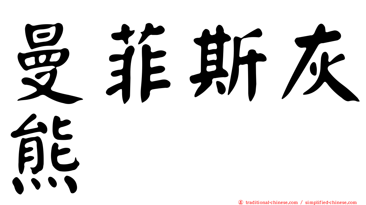 曼菲斯灰熊