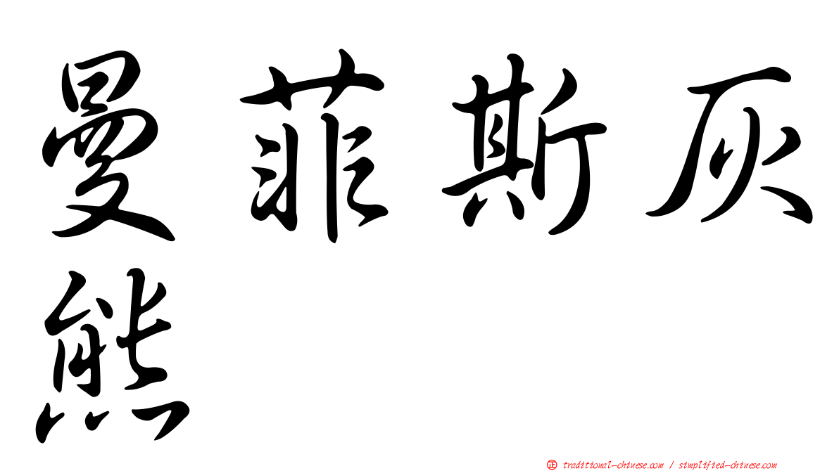 曼菲斯灰熊