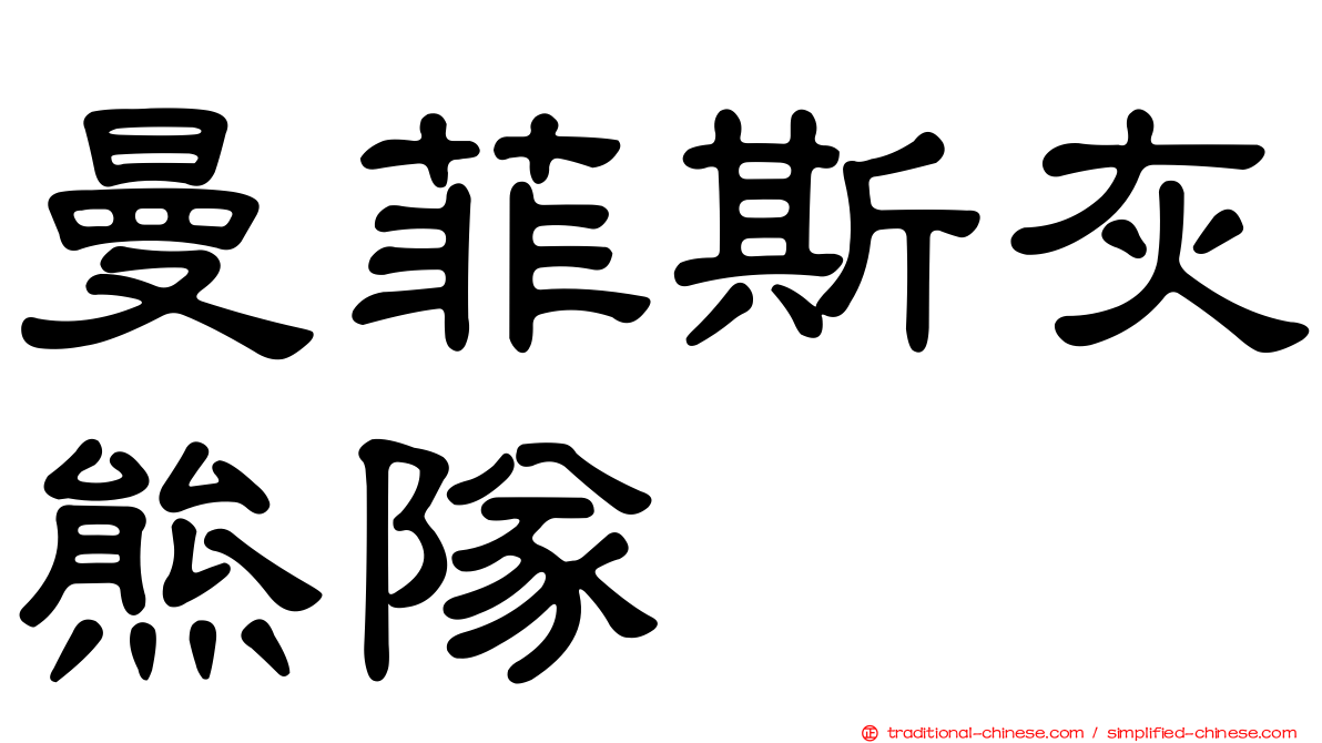 曼菲斯灰熊隊